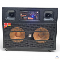 Loa kéo Karaoke iSound SP2124B (300W, Bass 50cm, Micro, Bluetooth, USB, FM, SD card, Remote)