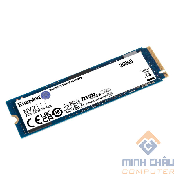 Ổ cứng SSD Kingston SNV2S 250GB NVMe M.2 2280 PCIe Gen 4x4 (Đọc 3000MB/s - Ghi 1300MB/s) - (SNV2S/250G)